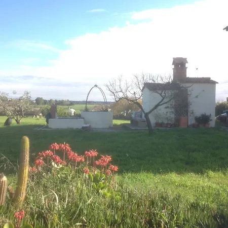 Bed & Breakfast Antic Etrurian Palo (Lazio)